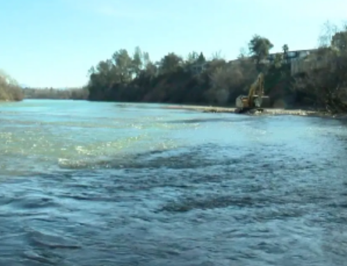 New fish spawning habitat project going on under Market Street bridge in Redding